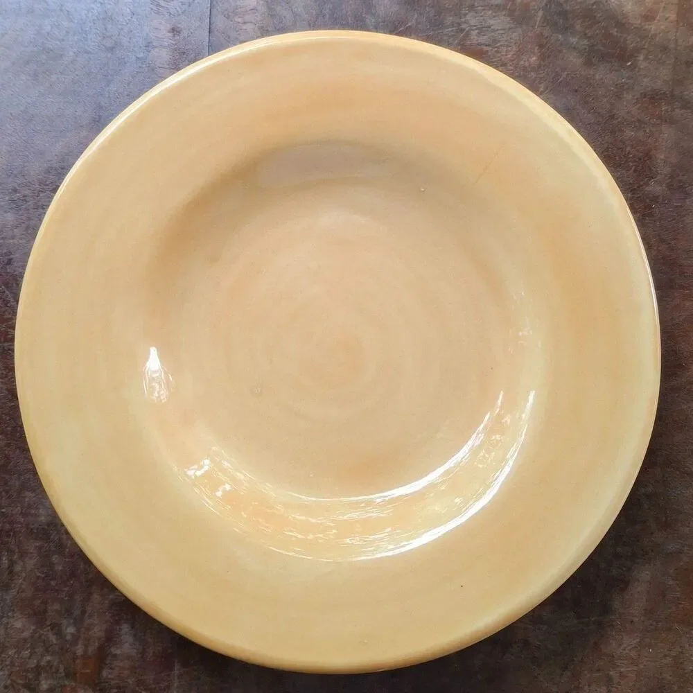 Pottery Barn Sausalito Soup Pasta Salad Bowl Wide Rim 10
